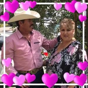 Meet your Posher, Hortensia